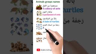 Arabic lesson 63 arabicphrase arabicalphabets learnarabic [upl. by Kelcey]