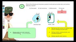 CSEC Biology Basics Part 2 [upl. by Glaudia823]