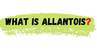 Allantois  what is allantois  allantois defination [upl. by Nnyrb246]