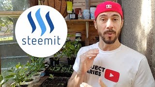 ★ How to Make Money Blogging The Ultimate Guide to Steemit [upl. by Tik]