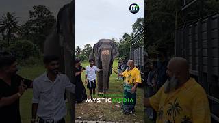 ആരൊക്കെയാ ഈ വരുന്നെ കാവേരി ഹീറോയിൻ ആടാ 🐘 [upl. by Rehotsirk375]