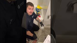 Plumbing HowTo PVC Toilet Flange Replacement [upl. by Ynnoj]