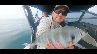 Hawkes Bay Fishing Gurnard Magic [upl. by Southworth]