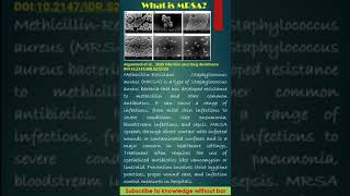 Methicillin Resistant Staphylococcus aureus MRSA educationalvideo microbiology [upl. by Leval726]