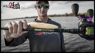 4 Gear Tips for Better Topwater Bass Fishing [upl. by Nnailuj819]