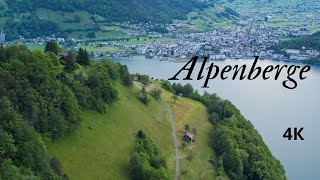 Alpenberge 4KSchweiz [upl. by Hahsi]