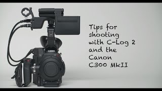 VIDEO 45  Canon C300 Mark II Canon Log2 explained [upl. by Marigold]