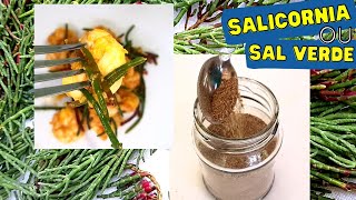 Salicornia Onde Encontrar Receitas e Desidratada  Receitas da Margo [upl. by Leidag860]