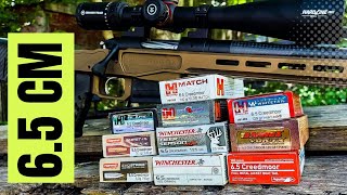 Ultimate 65 Creedmoor Ammo Test Bergara MGLite [upl. by Sedgewake27]