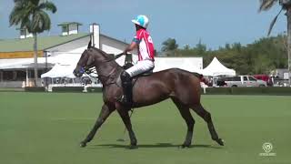 2021 USPA Gold Cup Final [upl. by Ainek15]