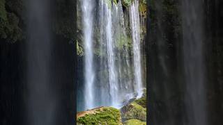 Yerköprü Şelalesi📍shorts youtubeshorts short subscribe amazing waterfall explore turkey [upl. by Copeland]