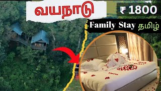 Best resorts in wayanad Wayanadtouristplaces wayanad bestresortsinwayanad familyresortinwayanad [upl. by Aohk]