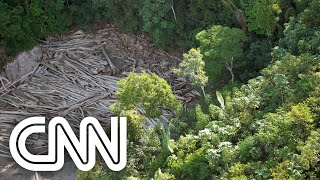 Política ambiental Brasil terá que decidir entre se isolar ou rever ações  NOVO DIA [upl. by Auhso]