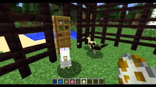 More birds IN MINECRAFT [upl. by Etnoel]