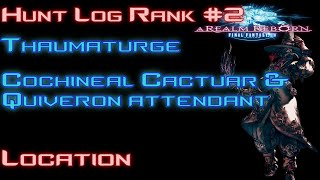 Final Fantasy 14  Thumatuge Hunting log Rank 2 Cochineal Cactuar ampQuiveron Attendant [upl. by Pinto]