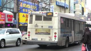 NYC Bus Special Bronx Zoo bound Orion VII 6869 Q44 LTD at Main St38 Av [upl. by Yekciv]