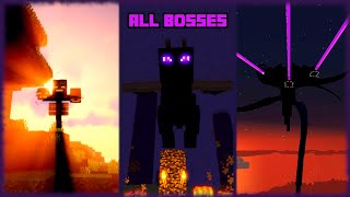 Minecraft All Bosses [upl. by Peednas121]