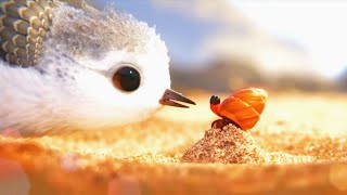 【Full Version】Cute Sandpiper Learns to Forage With The Help of a Crabcute [upl. by Gibun]