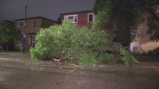 Stormfelled trees damage Belmont Cragin homes vehicle [upl. by Cynth]