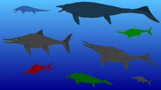 Sea Monsters  Ichtyosaurs  Animated Size Comparison  Extinct Marine Reptiles [upl. by Treulich]