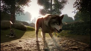 PLANET ZOO BETA 03 BABY WOLVES  Lets Play Simulation English Gameplay Sandbox [upl. by Merrily]