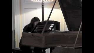 Haydn Sonata in B minor Hob XVII32 [upl. by Nosna]