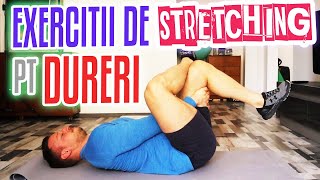 Exercitii de Stretching pentru Dureri de Spate  Dieta Flex [upl. by Nuawaj]