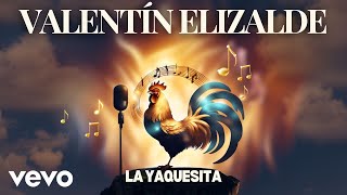 Valentín Elizalde  La Yaquesita [upl. by Ahserkal557]