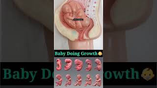 Twins baby growth [upl. by Yonina]