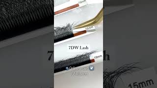 GAlash WShape Premade Fans lashtraining lashextensionslashmaker lashtutorial lashtech [upl. by Atenik543]