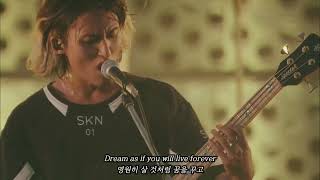 원오크락은 무대를 찢어🎸  ONE OK ROCK  Chaosmyth 가사해석 LIVE [upl. by Herahab]