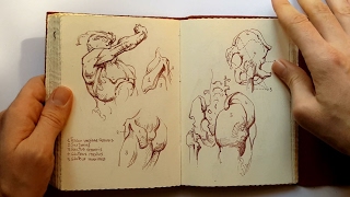 Sketchbook Constructive Anatomy George Bridgman [upl. by Weigle]