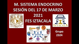 M Sistema Endocrino Sesión del Miércoles 17 de Marzo del 2021 [upl. by Gleda]