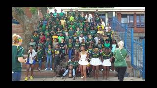 Athlone Park Primary School shows their support for the Springboks [upl. by Eittam]