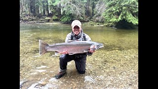 Quinault River Steelhead  WA 2024  Welcome to the Jungle Version [upl. by Nwahsak]