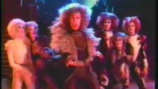 CATS  Rum Tum Tugger Music Video w Dodie Pettit [upl. by Llebyram]