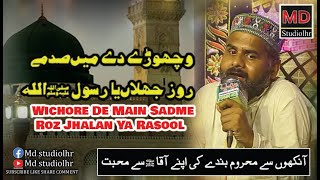 Wichore De Main Sadme Roz Jhalan Ya Rasool [upl. by Oeht]