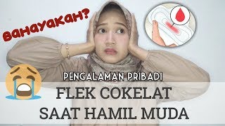 CERITA FLEK SAAT HAMIL MUDA TRIMESTER 1  PENGALAMAN PRIBADI [upl. by Attenreb978]