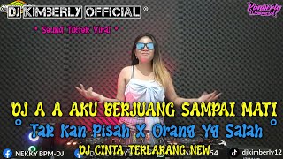 DJ A A AKU BERJUANG SAMPAI MATI X DJ TAKAN PISAH  ORANG YANG SALAH  DUGEM REMIX TERBARU 2024 [upl. by Assela]