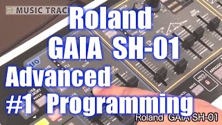 ROLAND GAIA SH01 Advanced Programming 1English Captions [upl. by Nerac233]