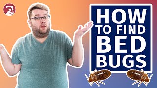 How To Find Bed Bugs In Your Bedroom [upl. by Yodlem]