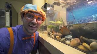 Blippi Explores the Pacific Science Center Educational Videos for Toddlers Video by BlippiToys fa [upl. by Alilad284]