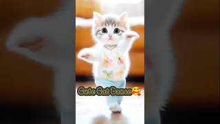 Cat Funny Dance🤗🐾🍓shorts cat catvideos pets animals [upl. by Adalbert605]