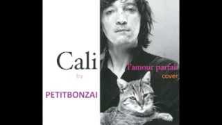 PetitBonzai  Lamour parfait Cali cover [upl. by Eimaj]