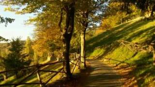 04 Autunno nel parco Sigurtà  foto di Claudio Gobbetti  2011 [upl. by Nerral]