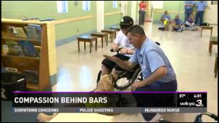 Nick Walczak meets his future service dog behind bars [upl. by Ahsener]