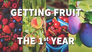 How to Get Fruit the 1st Year  FastGrowingTreescom [upl. by Odlanyer]