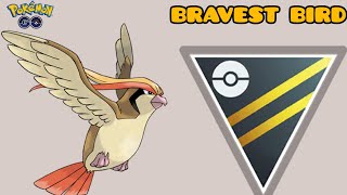 Pidgeot is BRAVEST BIRD in open ultra league Pokemon Go battle league [upl. by Lita75]