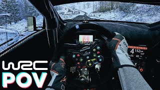 Central Europe Rally in WRC 23 is Just STUNNING  Fanatec CSL DD [upl. by Homovec]