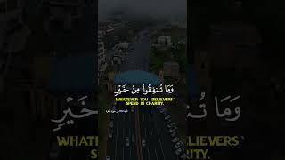 Quran kareem quotes duet quranrecitation peace youtubeshorts [upl. by Auqinot]